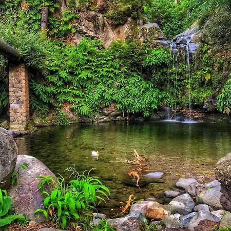 Apartament Casa Da Cascata Do Segredo Água de Alto Zewnętrze zdjęcie